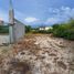  Grundstück zu verkaufen in Chicxulub Pueblo, Yucatan, Chicxulub Pueblo