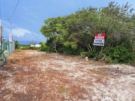  Grundstück zu verkaufen in Chicxulub Pueblo, Yucatan, Chicxulub Pueblo