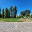  Land for sale in Confluencia, Neuquen, Confluencia