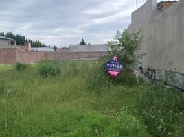  Land for sale in Confluencia, Neuquen, Confluencia