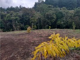  Land for sale in Popayan, Cauca, Popayan