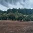  Land for sale in Popayan, Cauca, Popayan