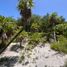 토지을(를) Isla Mujeres, Quintana Roo에서 판매합니다., Isla Mujeres