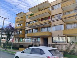 3 Habitación Apartamento en alquiler en Chile, Quilpue, Valparaíso, Valparaíso, Chile