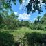  Land for sale in Chone, Manabi, Chone, Chone