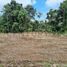  Land for sale in Chone, Manabi, Chone, Chone