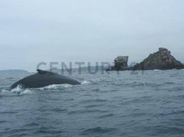  Grundstück zu verkaufen in Puerto Lopez, Manabi, Salango