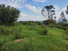  Land for sale in Morelia, Michoacan, Morelia, Michoacan