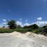  Land for sale in Campeche, Campeche, Campeche, Campeche