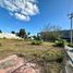  Land for rent in Merida, Yucatan, Merida