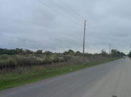  Land for sale in La Plata, Buenos Aires, La Plata