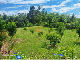  Terreno (Parcela) en venta en La Tebaida, Quindio, La Tebaida