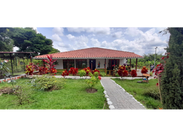 5 Habitación Casa en venta en La Tebaida, Quindio, La Tebaida