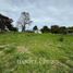  Land for sale in Cauca, Popayan, Cauca