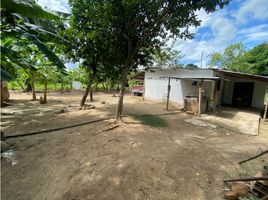 2 Bedroom House for sale in Tolima, Carmen De Apicala, Tolima