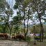 Terrain à vendre à La Mesa, Cundinamarca, La Mesa