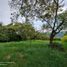 Terrain à vendre à La Mesa, Cundinamarca, La Mesa