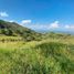  Terreno (Parcela) en venta en Rionegro, Antioquia, Rionegro, Antioquia