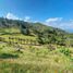  Terreno (Parcela) en venta en Rionegro, Antioquia, Rionegro, Antioquia