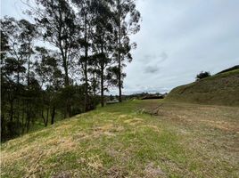  Land for sale in El Carmen De Viboral, Antioquia, El Carmen De Viboral