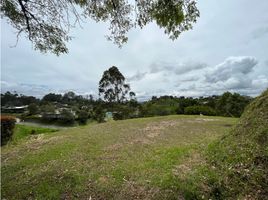  Land for sale in El Carmen De Viboral, Antioquia, El Carmen De Viboral