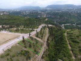  Terrain for sale in Tumbaco, Quito, Tumbaco