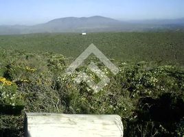  Terrain for sale in Limari, Coquimbo, Ovalle, Limari