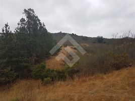  Land for sale in Valparaiso, Puchuncavi, Valparaiso, Valparaiso