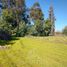  Land for sale in Talca, Talca, Talca