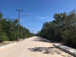 Terrain à vendre à Puerto Morelos, Quintana Roo, Puerto Morelos