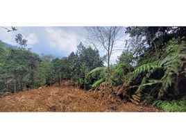  Terreno (Parcela) en venta en Yumbo, Valle Del Cauca, Yumbo