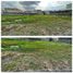  Land for sale in Samborondon, Guayas, Samborondon, Samborondon