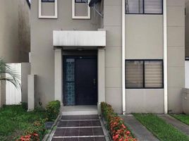 3 Bedroom House for rent in Guayas, Daule, Daule, Guayas