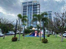 Studio Condo for rent in Samborondon, Guayas, Samborondon, Samborondon