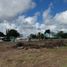  Land for sale in Yobain, Yucatan, Yobain