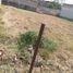  Land for sale in Tlayacapan, Morelos, Tlayacapan