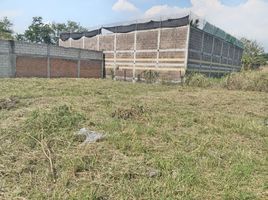  Land for sale in Tlayacapan, Morelos, Tlayacapan