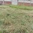  Land for sale in Tlayacapan, Morelos, Tlayacapan