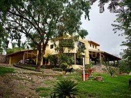 4 Schlafzimmer Haus zu verkaufen in Guanajuato, Guanajuato, Guanajuato