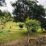  Land for sale in Guarne, Antioquia, Guarne