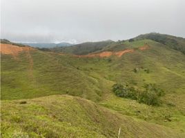  Terreno (Parcela) en venta en Cisneros, Antioquia, Cisneros