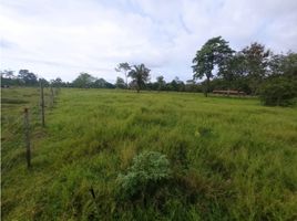  Land for sale in Envigado, Antioquia, Envigado