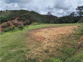  Land for sale in Rionegro, Antioquia, Rionegro