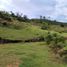  Land for sale in Rionegro, Antioquia, Rionegro