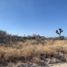  Land for sale in Apodaca, Nuevo Leon, Apodaca