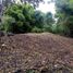  Land for sale in Panama City Panama, Bella Vista