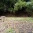  Land for sale in Panama City Panama, Bella Vista