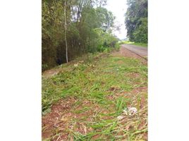  Land for sale in Panama City Panama, Bella Vista