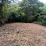  Land for sale in Panama City Panama, Bella Vista
