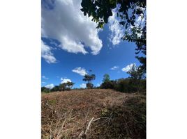  Land for sale in Chame, Panama Oeste, Nueva Gorgona, Chame